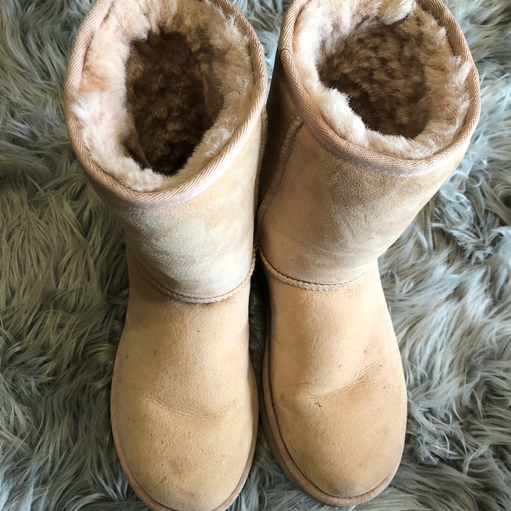 Classic Short Pink Uggs